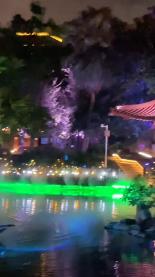 虎胆熊威3